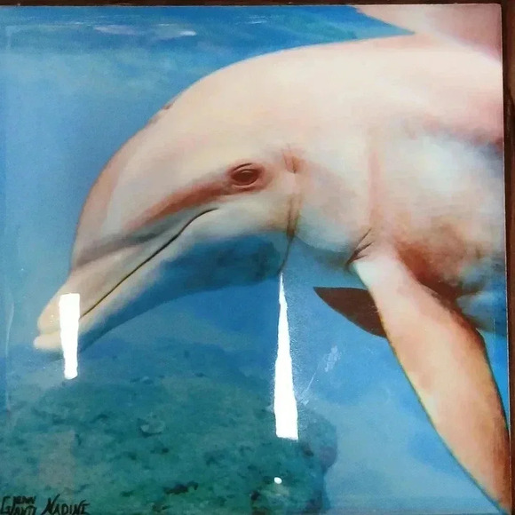 Blue Dolphins lobster trap artwork..A MUST! NWT - Picture 2 of 3